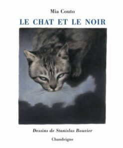 Le Chat et le noir