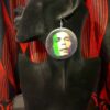 Bob Marley earrings 2