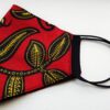 Storm Face mask, lots of 2
